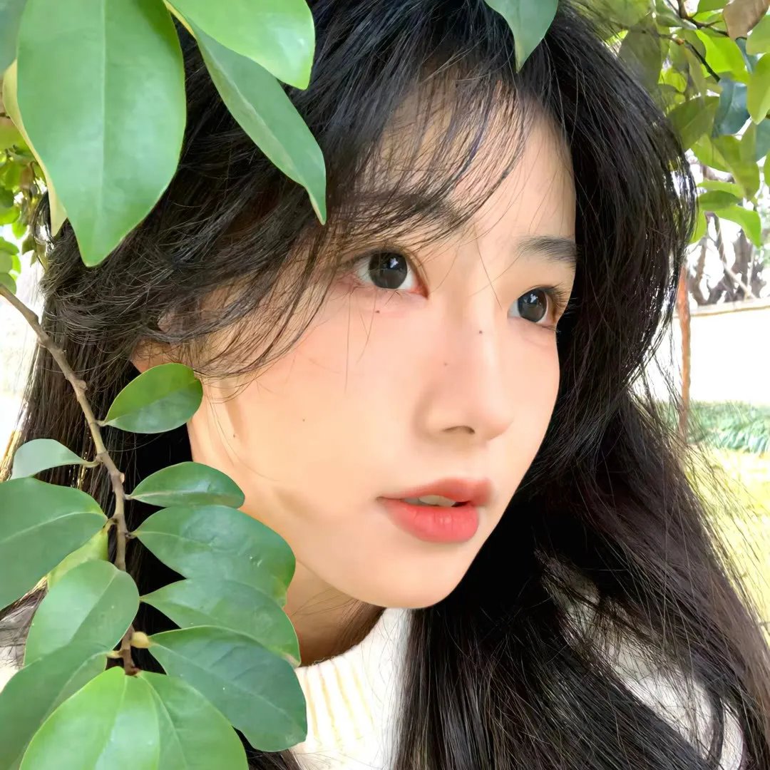 玫瑰行者